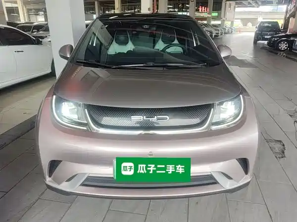 BYD Dolphin 2021