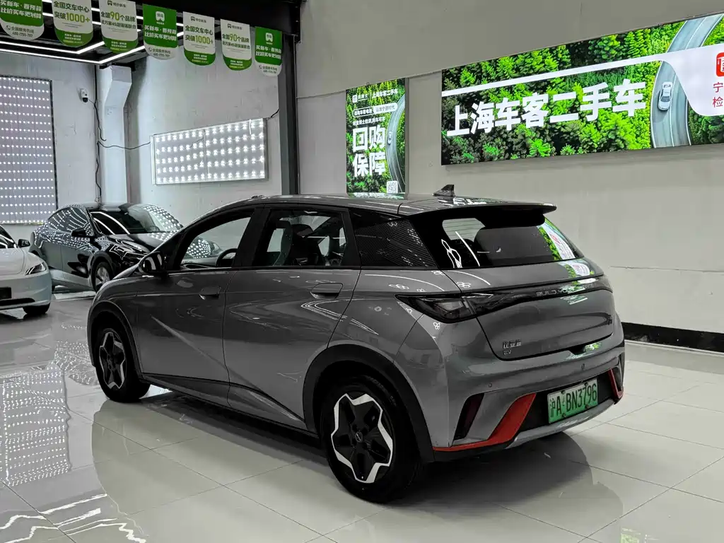 BYD Dolphin 2023 — фото 14