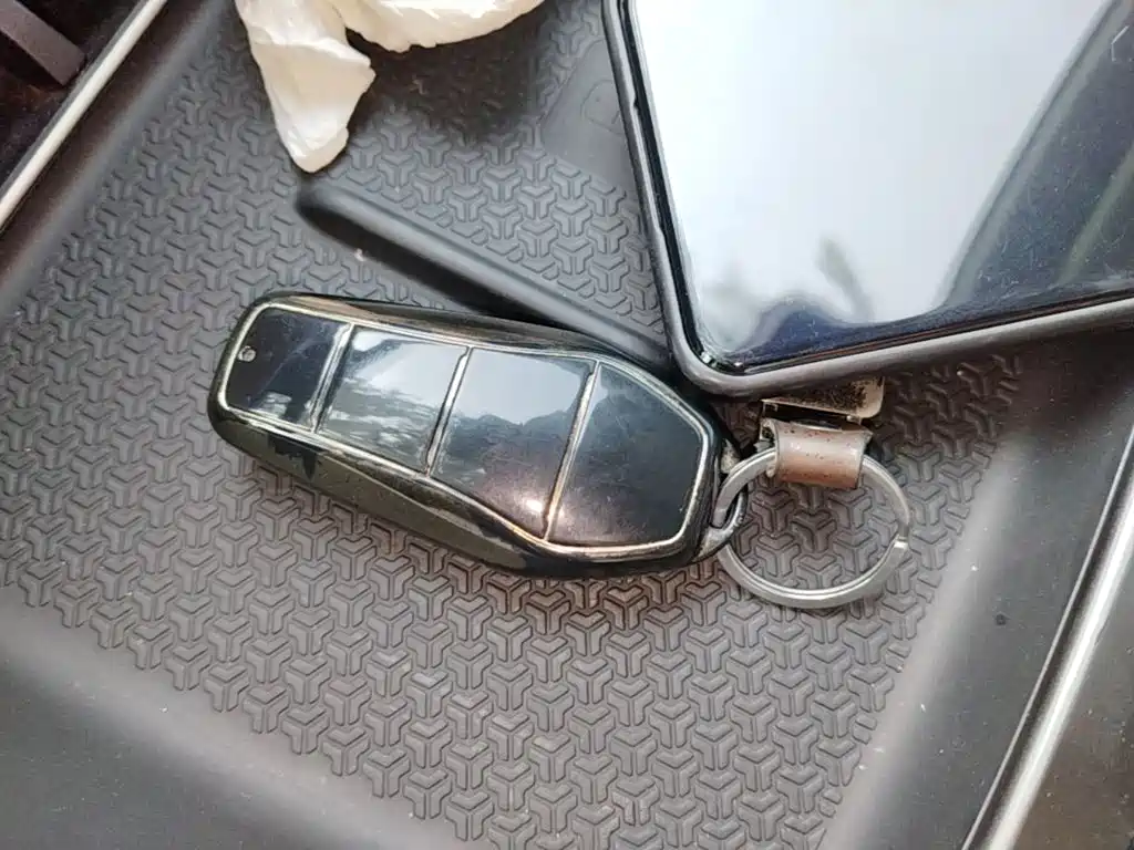 BYD Song Pro New Energy 2025 — фото 9