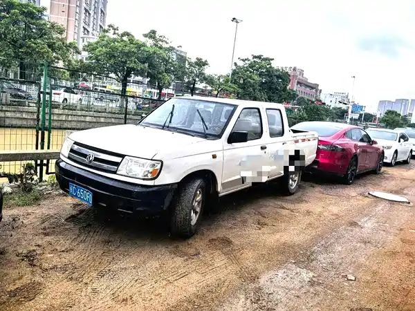Dongfeng Ruiqi 2013