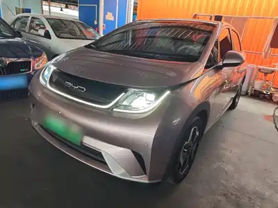 BYD Dolphin 2022