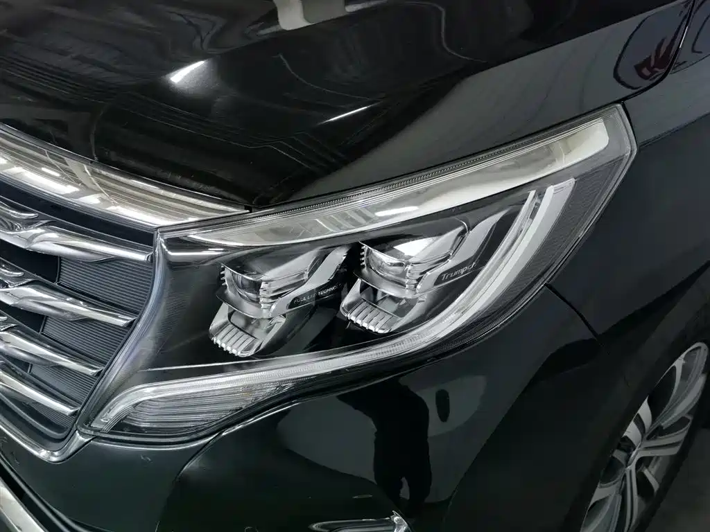 GAC Motor Trumpchi M8 2020 — фото 7