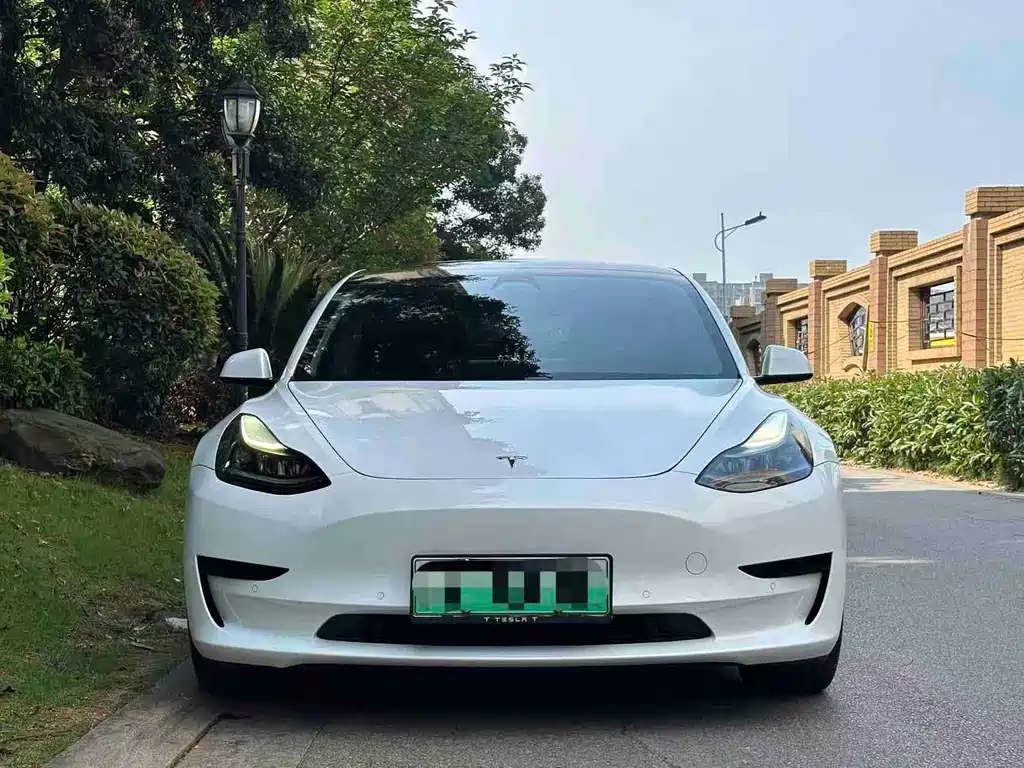 Tesla Model 3 2021 — фото 2