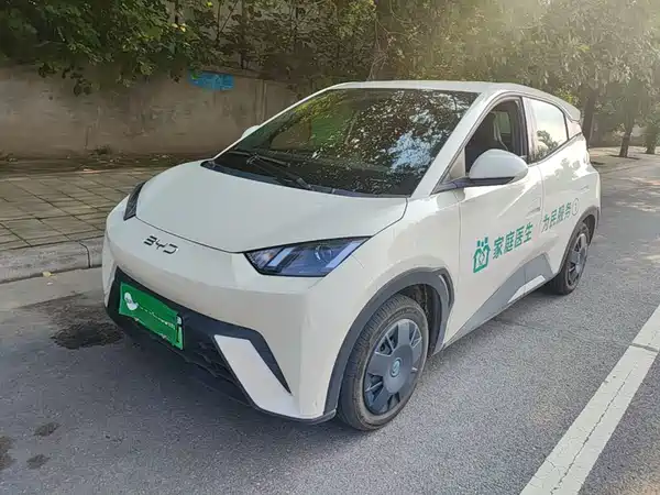 BYD Seagull 2025
