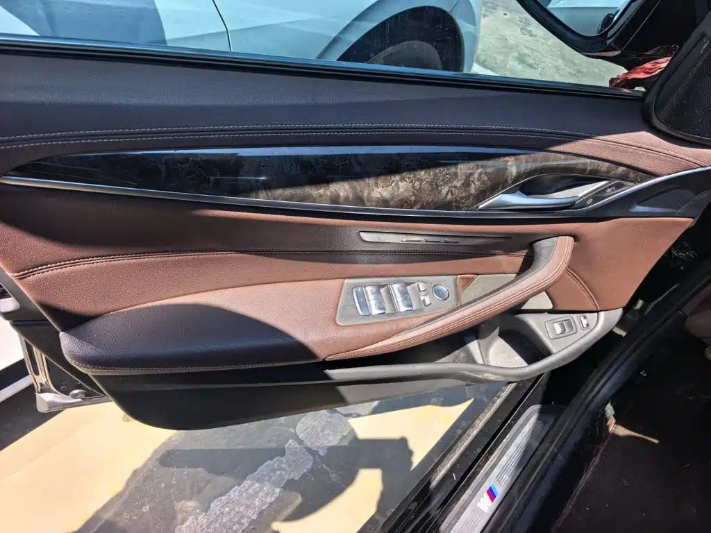 BMW 5 Series New Energy 2021