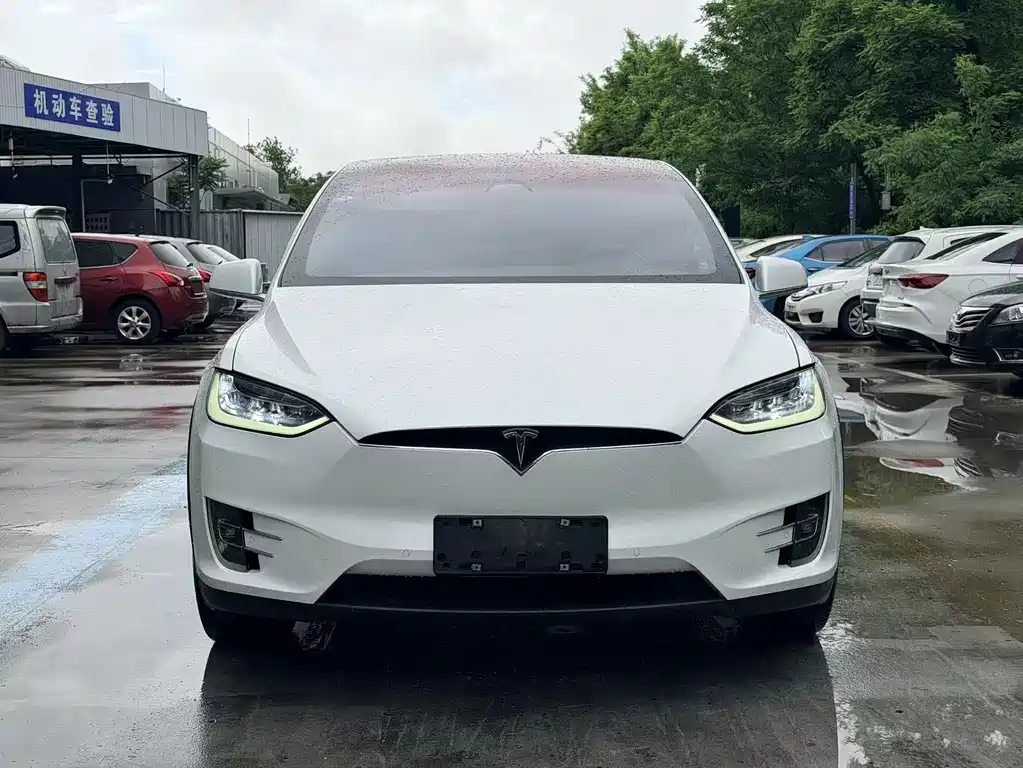 Tesla Model X 2019 — фото 2
