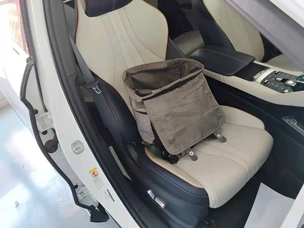 BYD PLUS New Energy 2023 — фото 25