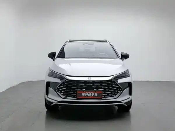 BYD Tang New Energy 2024