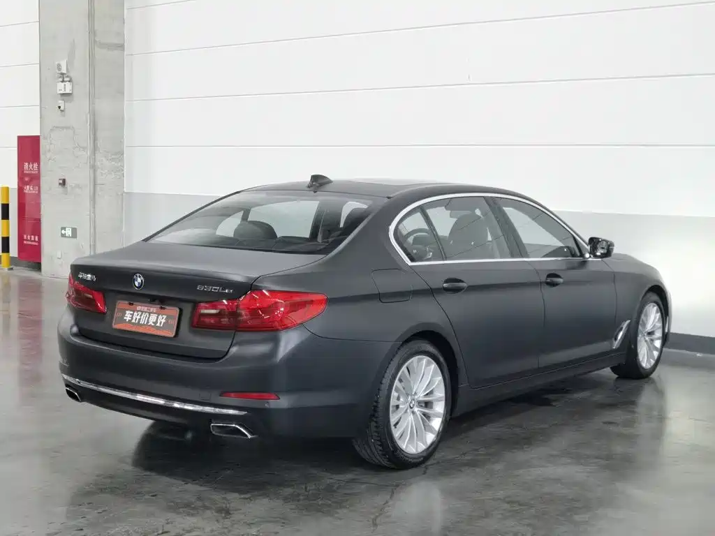 BMW 5 Series New Energy 2019