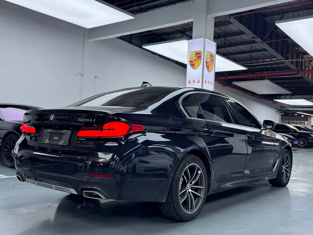 BMW 5 Series 2020 — фото 14
