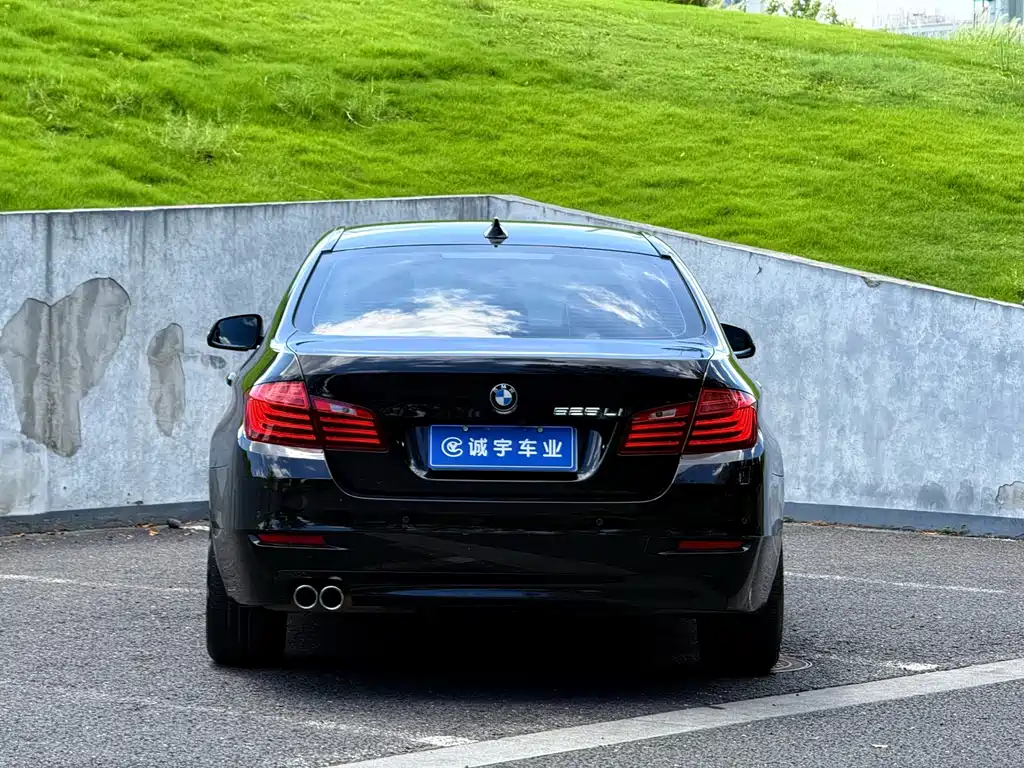BMW 5 Series 2016 — фото 15