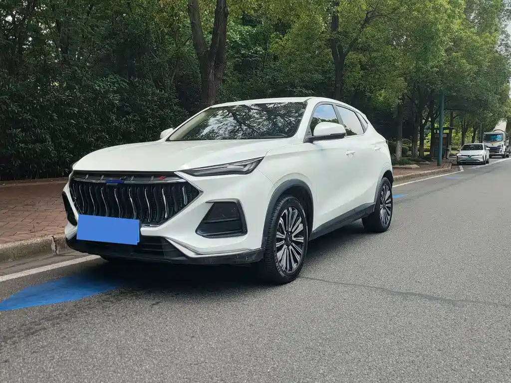 Oshan Oushang X5 2021
