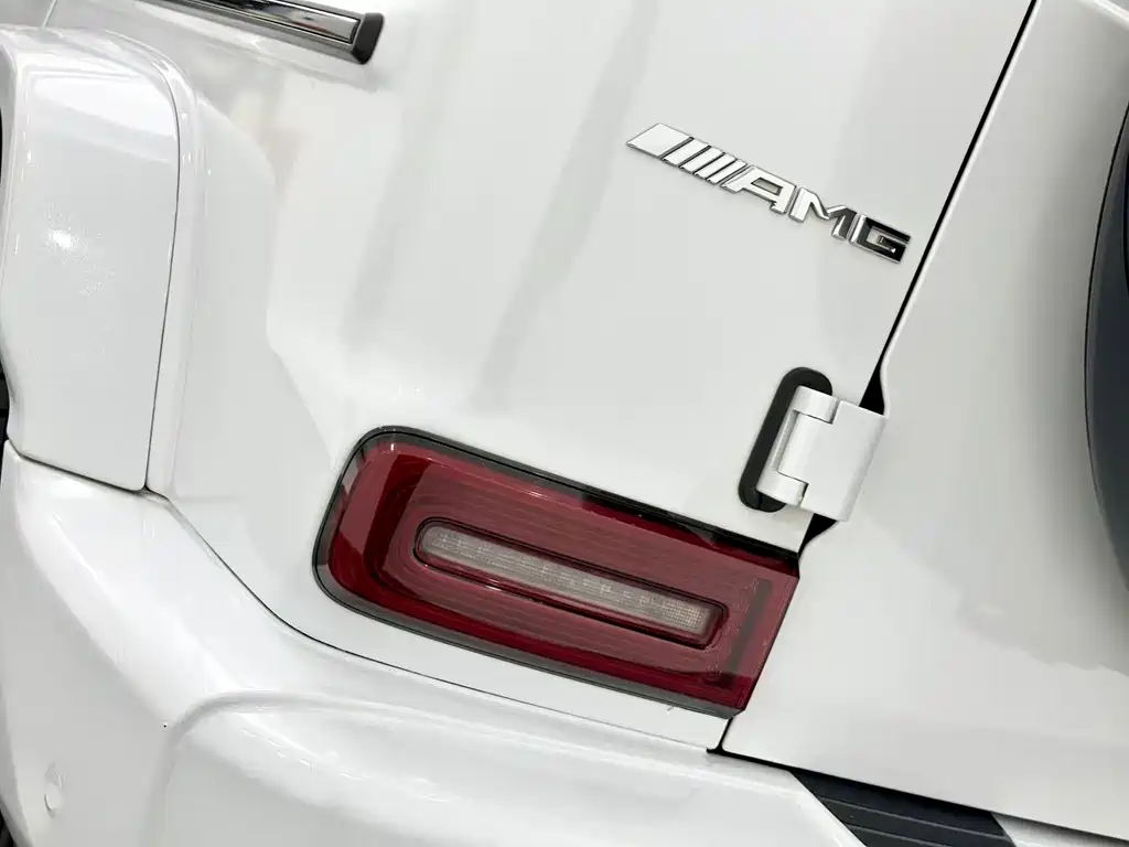 Mercedes-Benz G-Class 2019 — фото 19