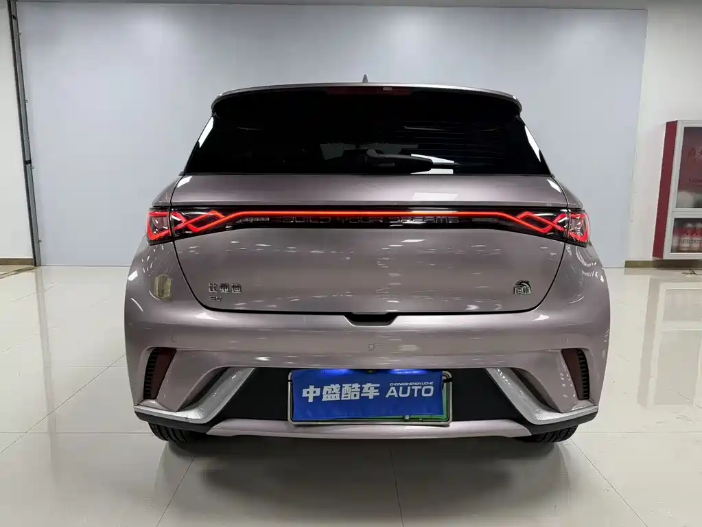 BYD Dolphin 2023 — фото 12