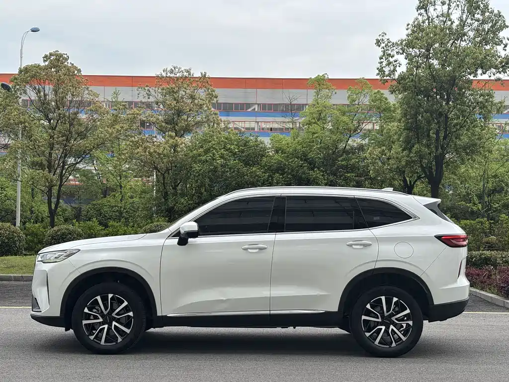 Haval H6 2021 — фото 4