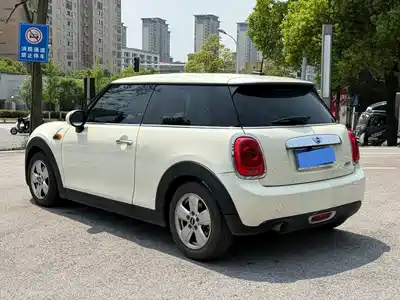MINI MINI 2014