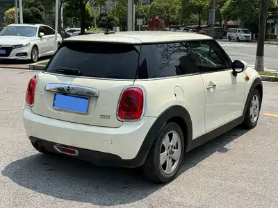 MINI MINI 2014