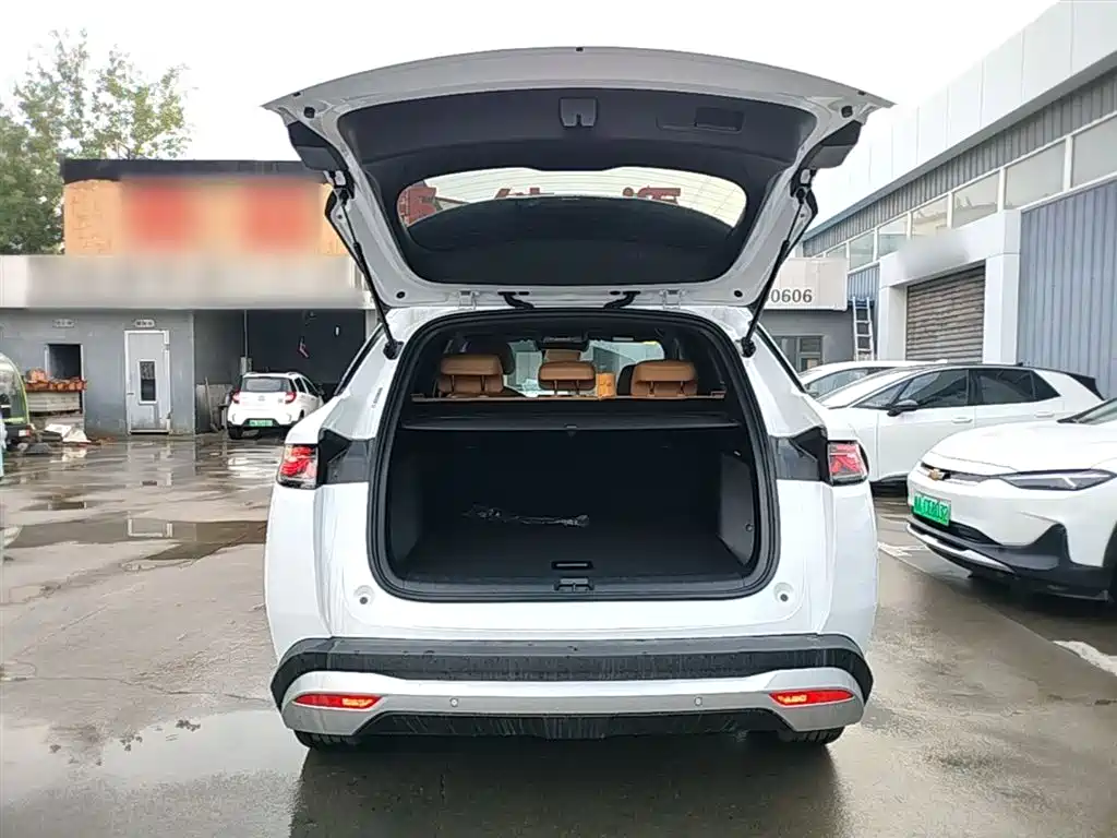 BYD L DM-i 2026 — фото 19