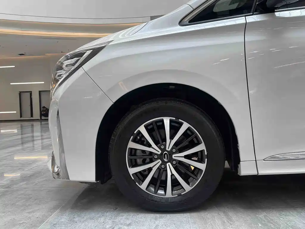GAC Motor Trumpchi M8 2023 — фото 15