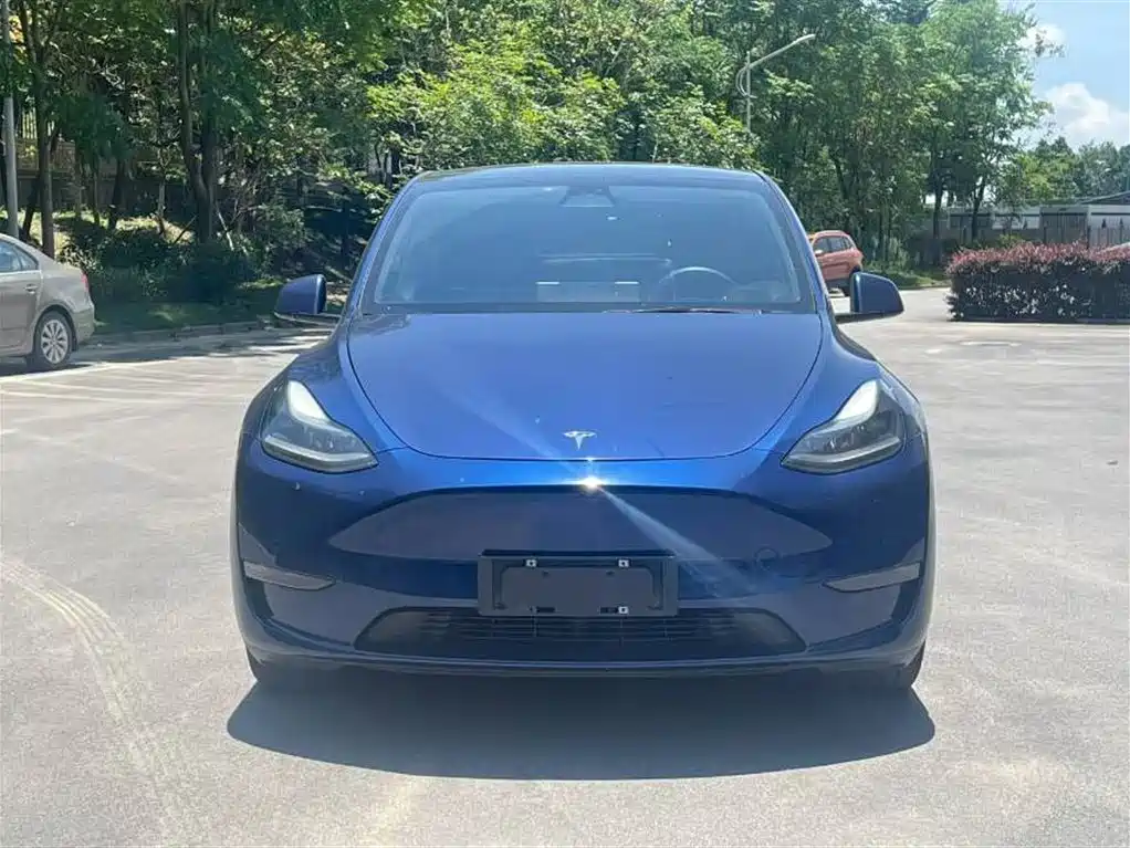 Tesla Model Y 2021 — фото 3