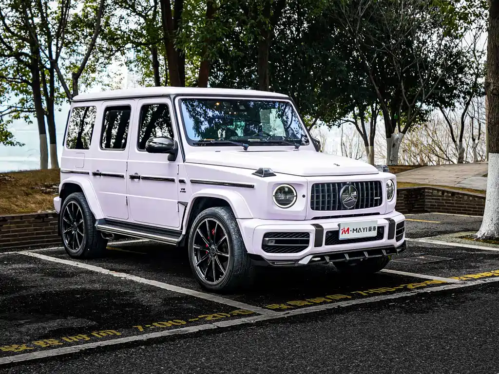 Mercedes-Benz G-Class 2020 — фото 5