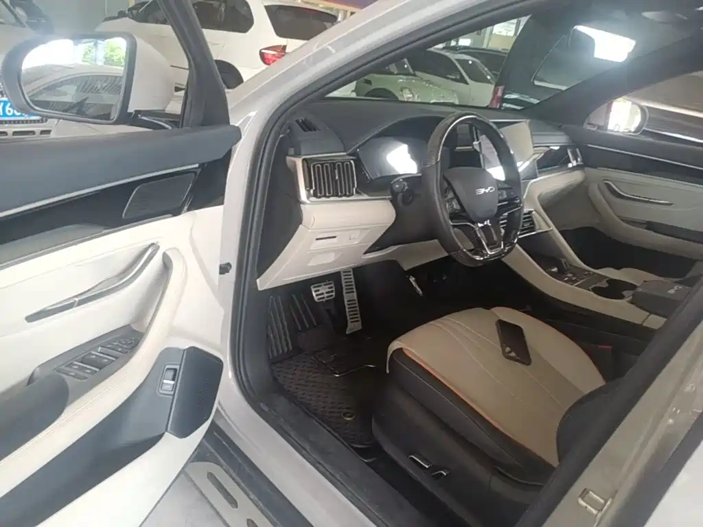 BYD PLUS New Energy 2023 — фото 16
