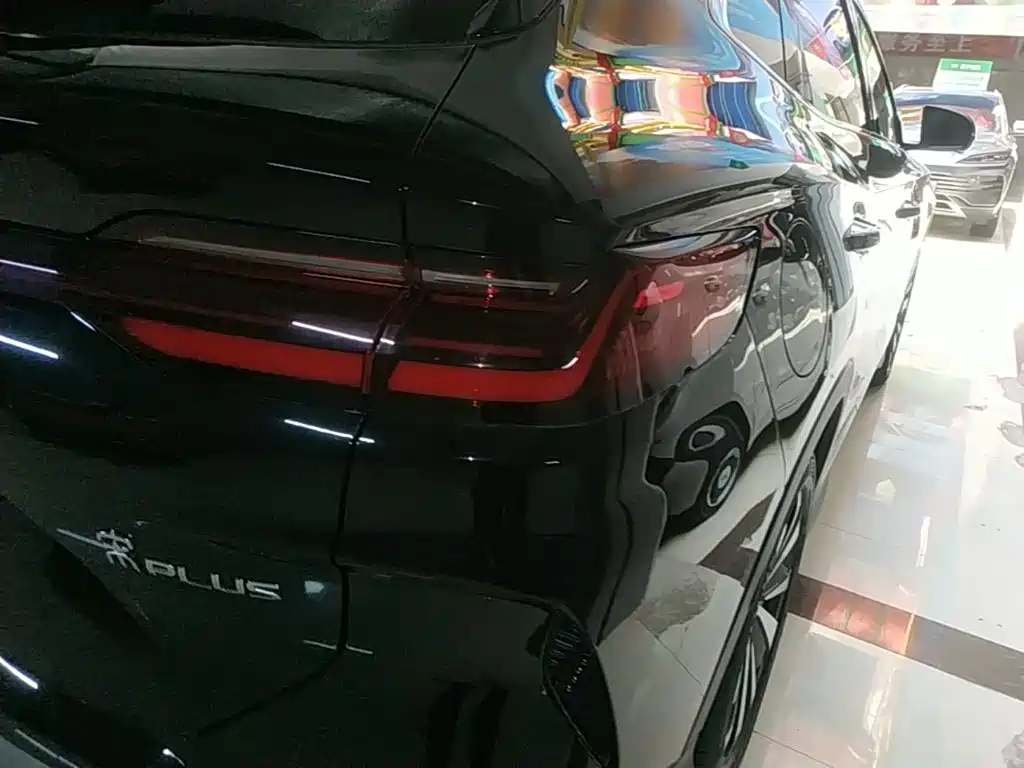 BYD PLUS New Energy 2023 — фото 8