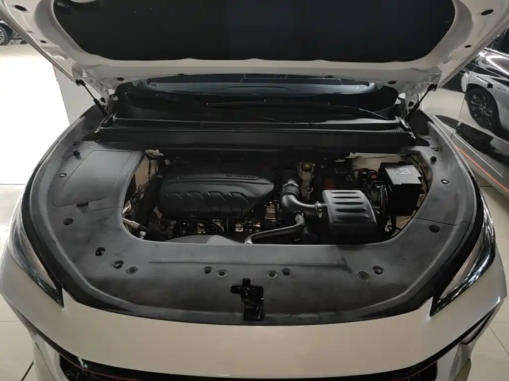 Dongfeng Fengxing T5 EVO 2021 — фото 20