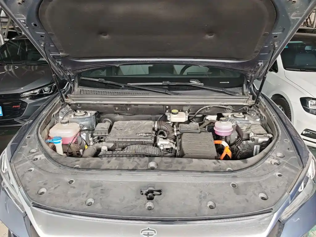 BYD Pro New Energy 2024 — фото 20