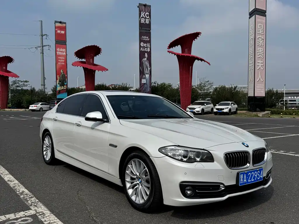 BMW 5 Series 2015