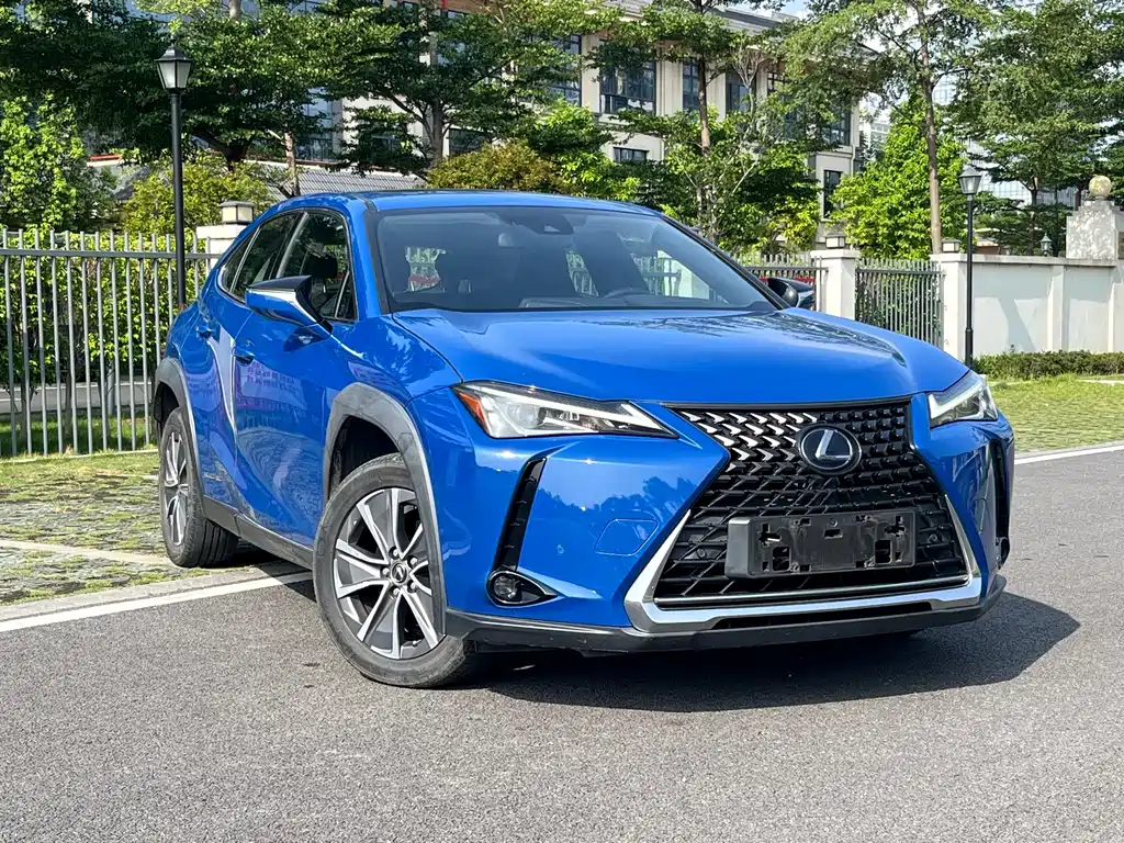 Lexus UX New Energy 2020 — фото 38