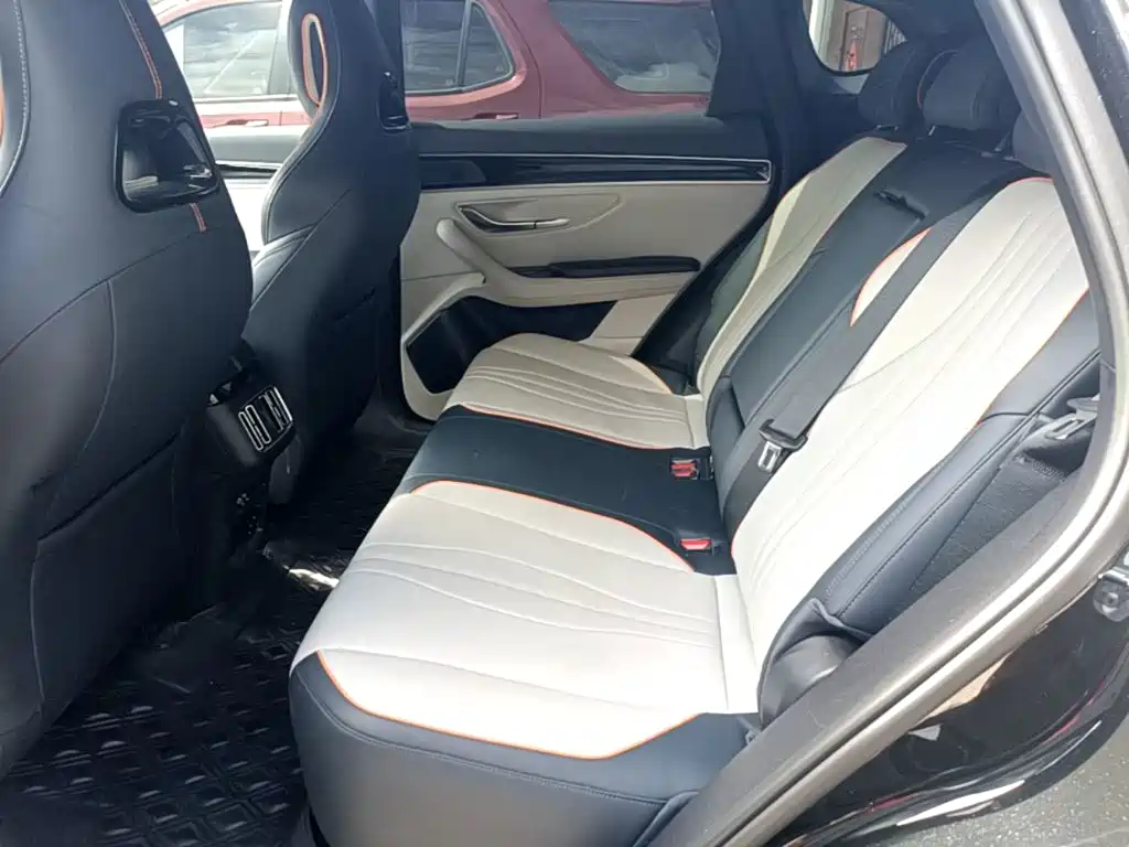 BYD Song PLUS New Energy 2024 — фото 17