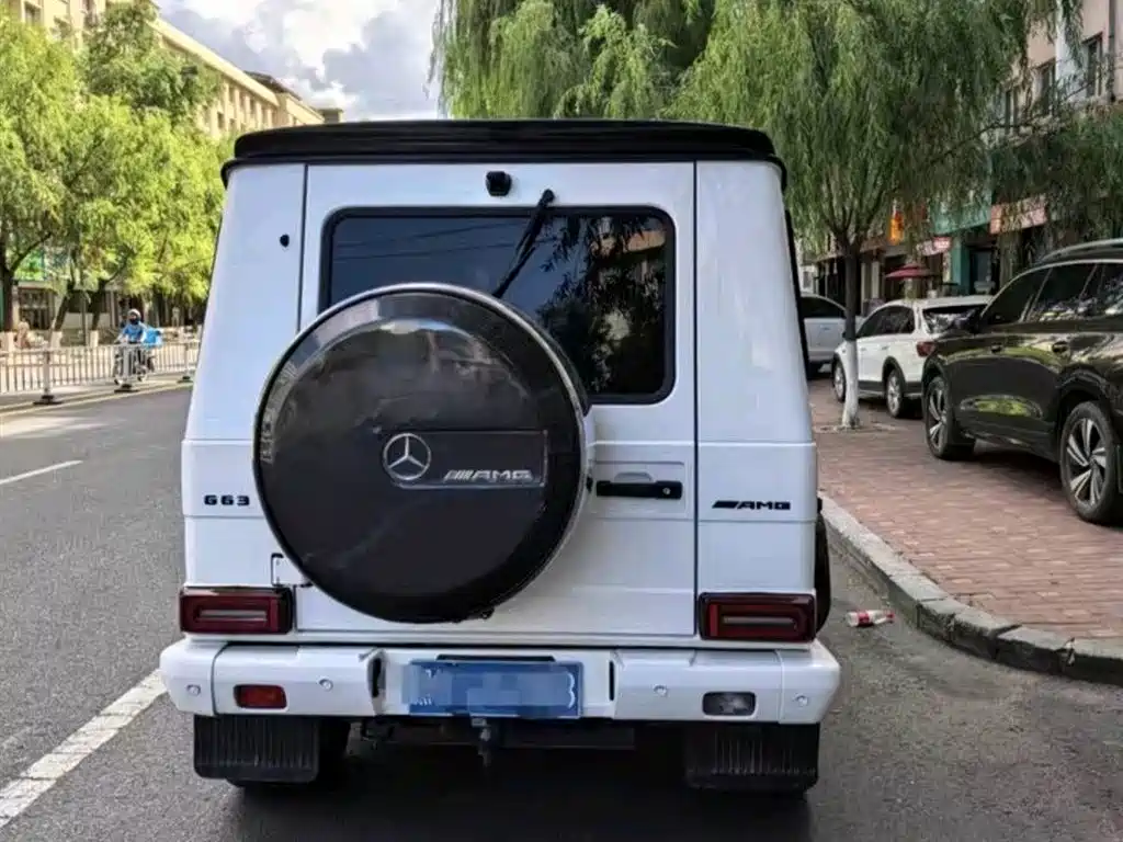 Mercedes-Benz G-Class 2016 — фото 3