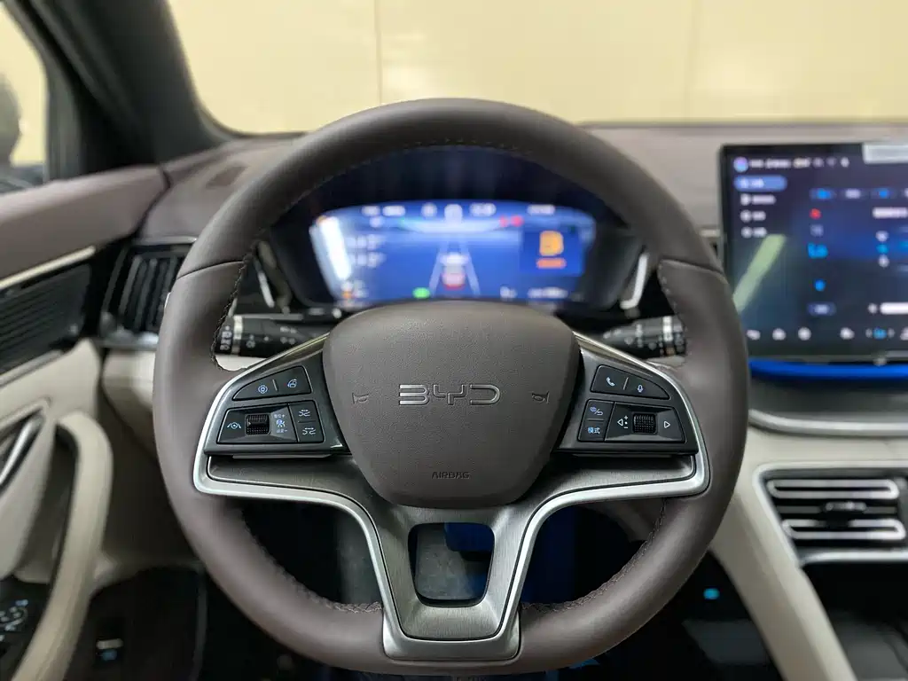 BYD PLUS New Energy 2024 — фото 14