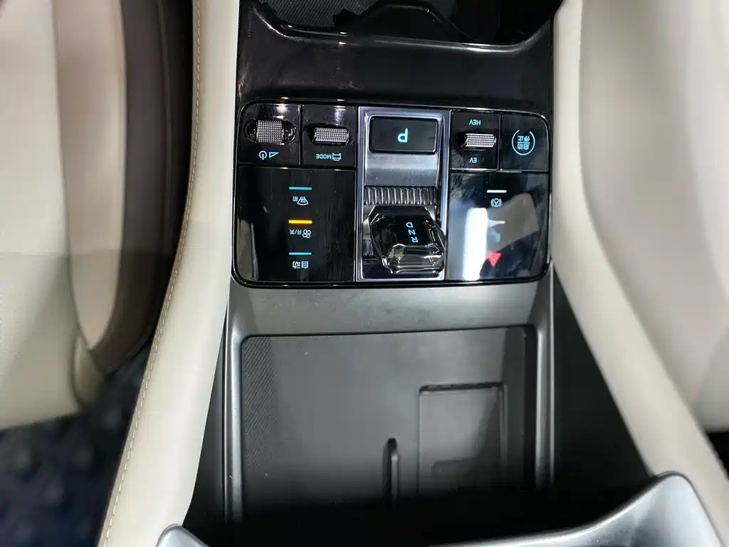 BYD PLUS New Energy 2024 — фото 12