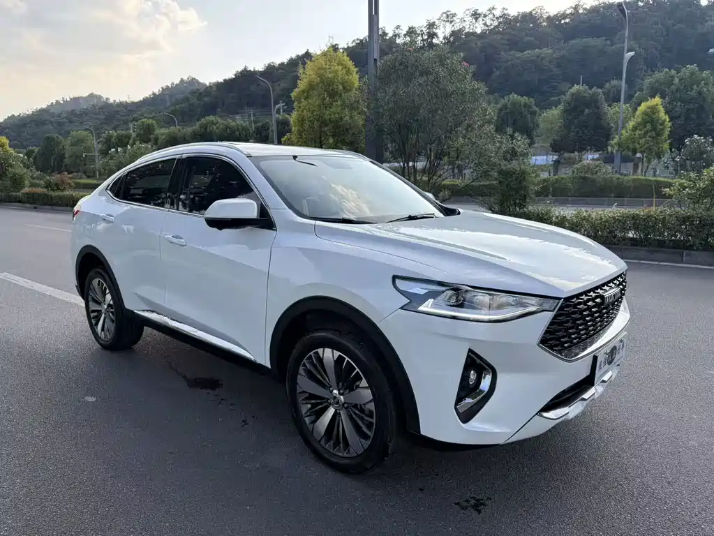 Haval F7x 2019 — фото 3