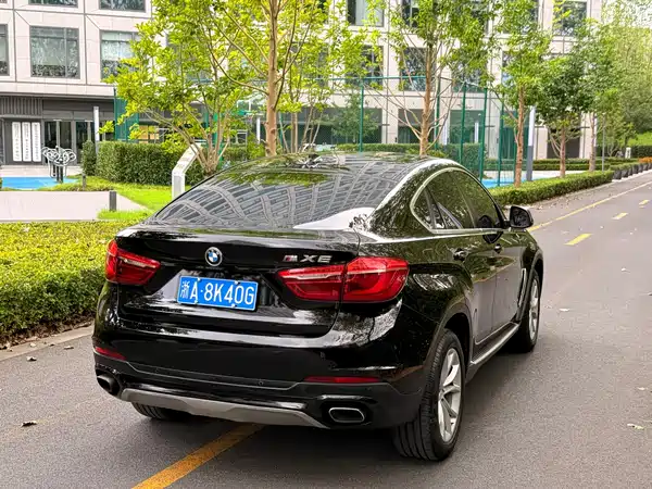 BMW X6 2018