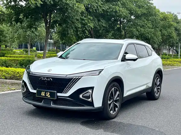 Dongfeng Haohan 2024