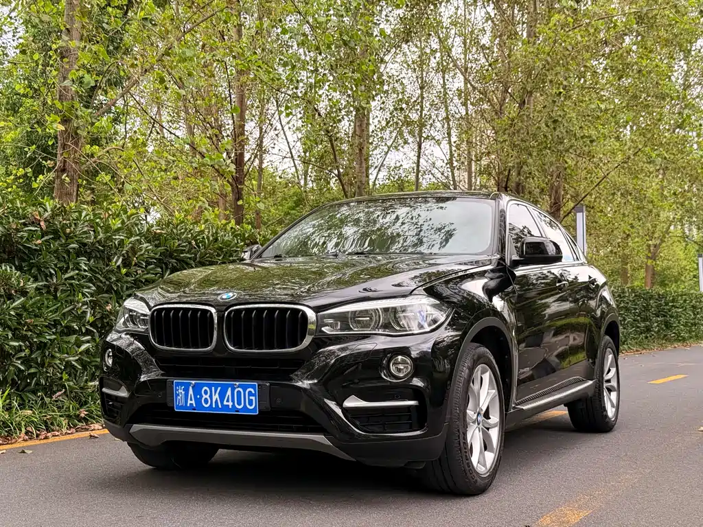 BMW X6 2018