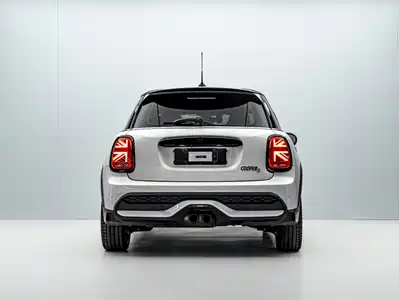 MINI MINI 2024