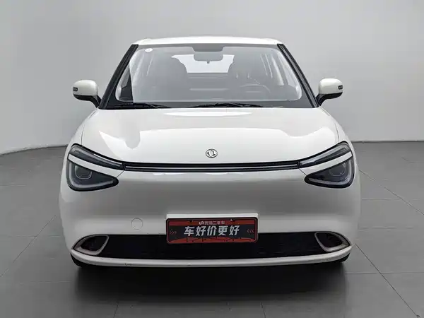 Dongfeng Nano 01 2024