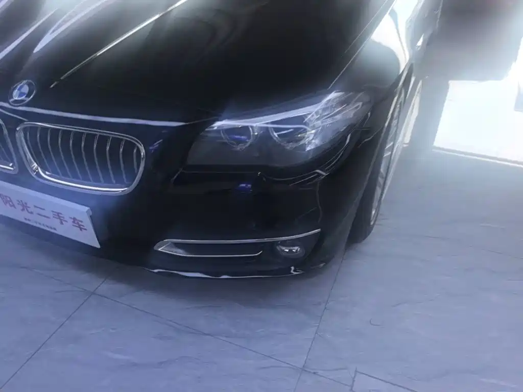 BMW 5 Series 2016 — фото 24