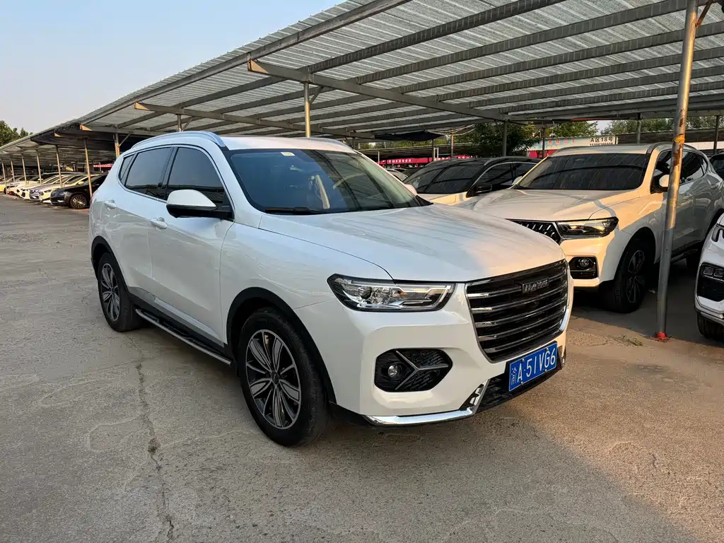 Haval H6 2021 — фото 2