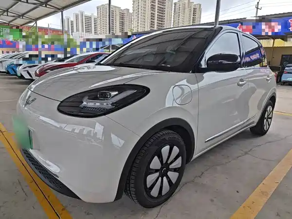 Wuling Bingo 2024