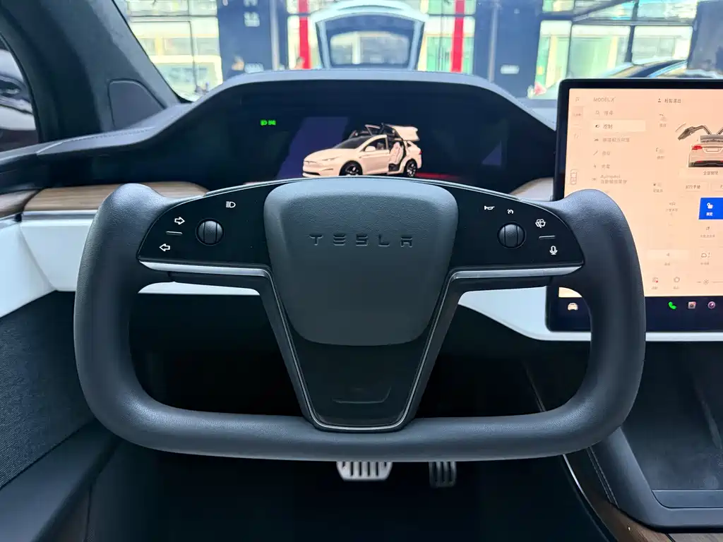 Tesla Model X 2023 — фото 9