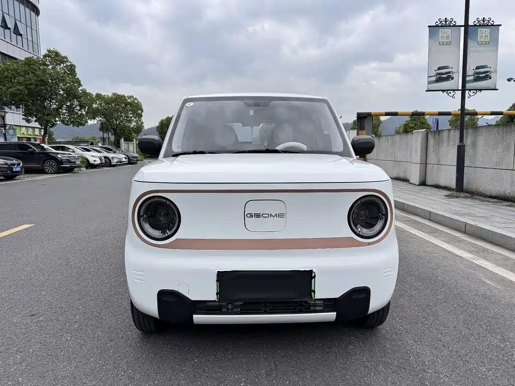 Galaxy Panda 2025