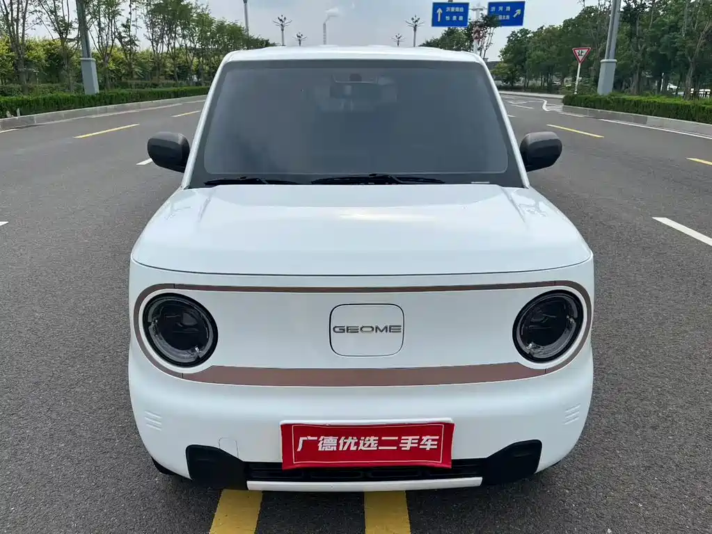 Geely Galaxy Panda 2024