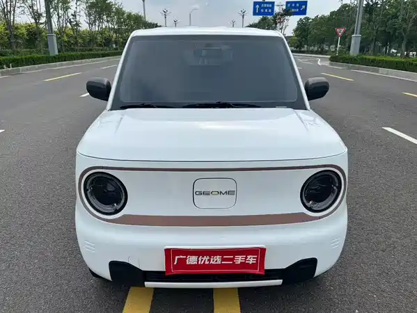 Geely Galaxy Panda 2024