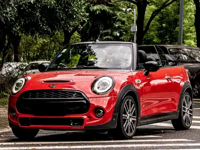 MINI MINI 2021
