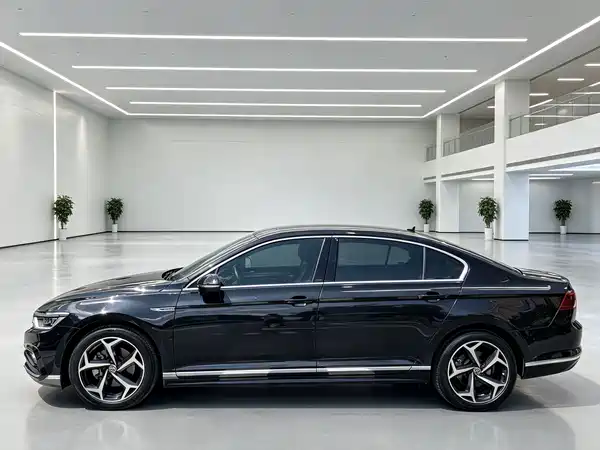 Volkswagen Magotan 2024